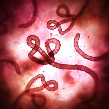 Microscopic image of ebola virus