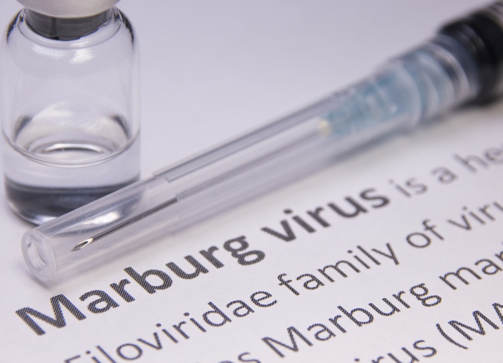 Marburg virus graphic