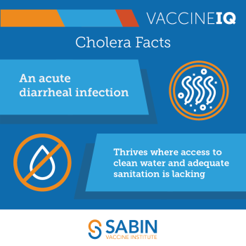 VaccineIQ, Cholera Facts: An acute diarrheal infection. Thrives where access to clean water and adequate sanitation is lacking. Sabin Vaccine Institute.