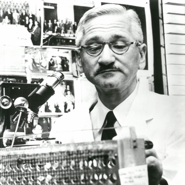 Dr. Albert B. Sabin in his laboratory.